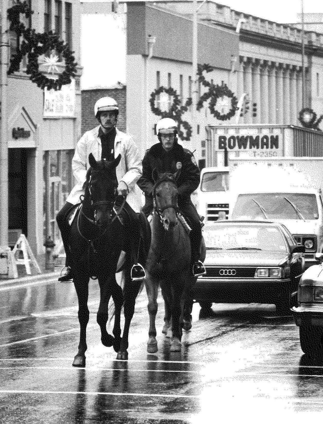Police horses